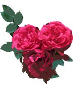 rose-logo_with-filter